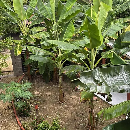 Casa Platanales Сasa de vacaciones *