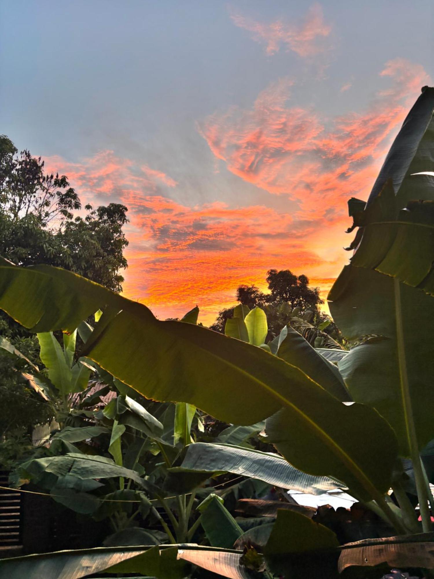 Holiday home Casa Platanales