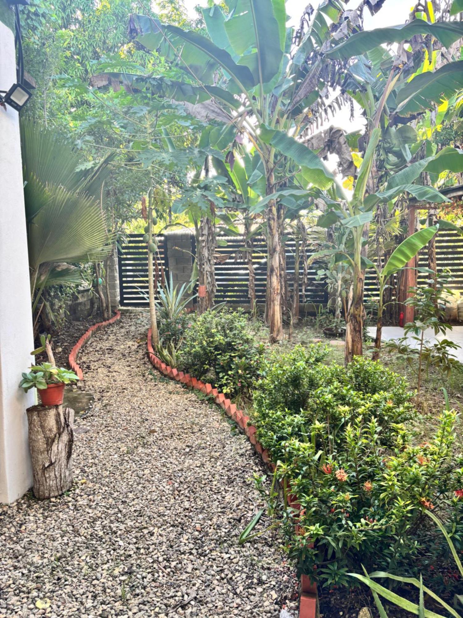 Holiday home Casa Platanales