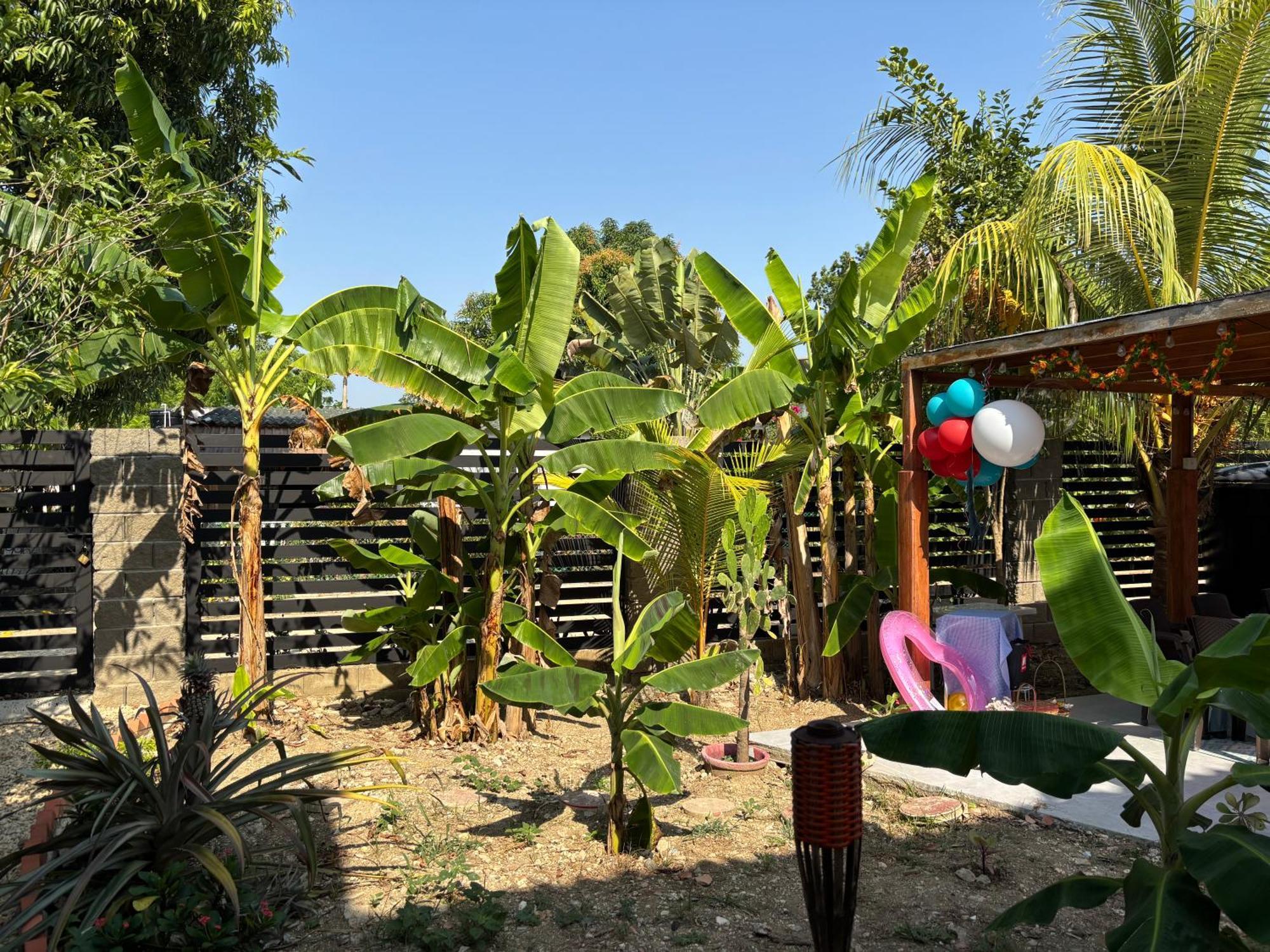 Casa Platanales * Cartagena