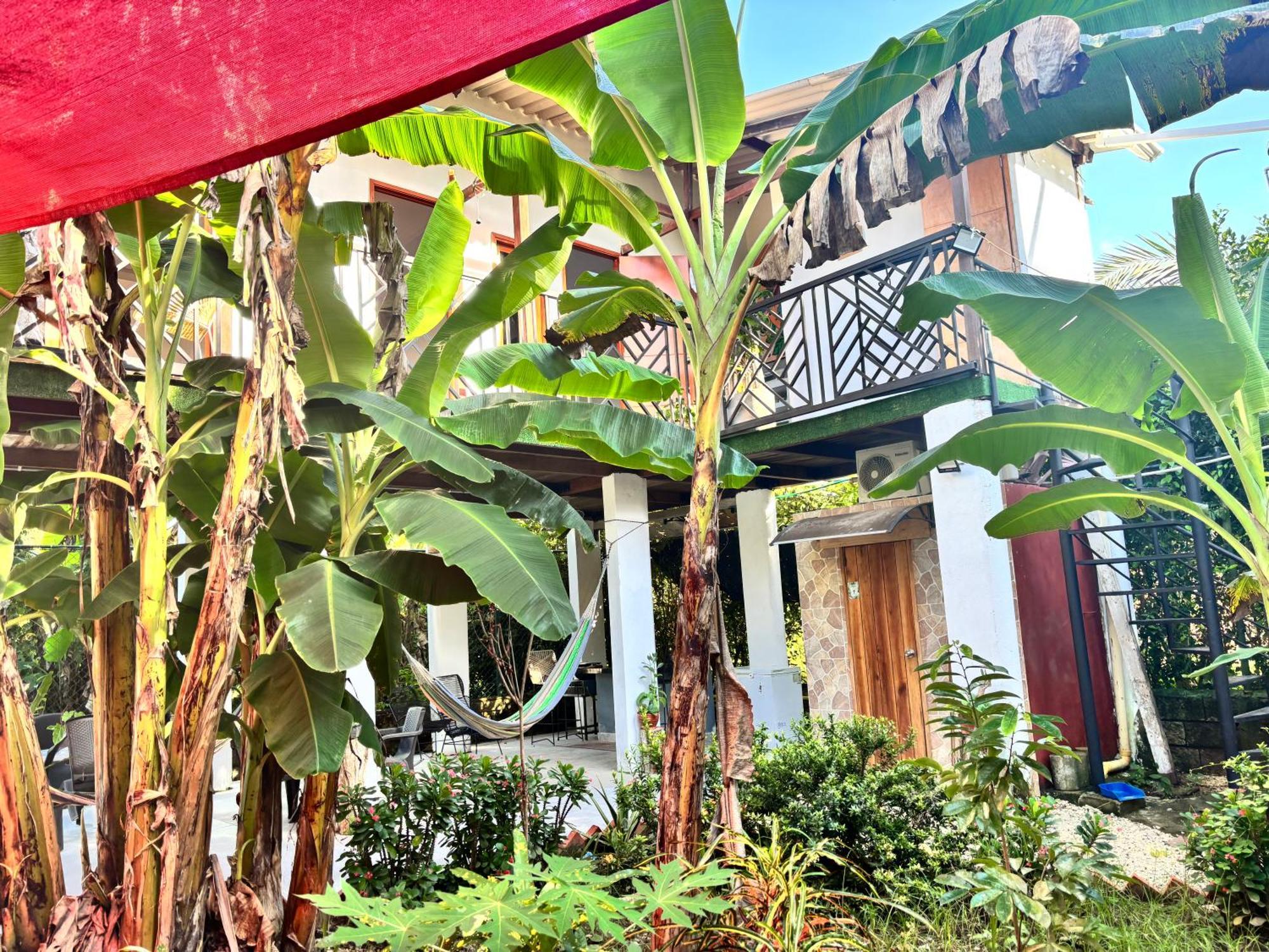 Casa Platanales Cartagena